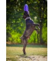 PULLER MAXI Ø30 CM (12") - HUNDE-FITNESSGERÄT FÜR GROSSE UND MITTLERE RASSE