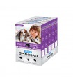 SUPERIUM SPINOSAD Comprimé pour Chats et Chiens Pilule Supprimer Prévenir les Tiques et les Puces (2,5-5 kg) 5 paquets